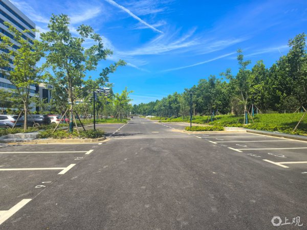 地方 | 罗店镇一条路开放，一个泊车场启用