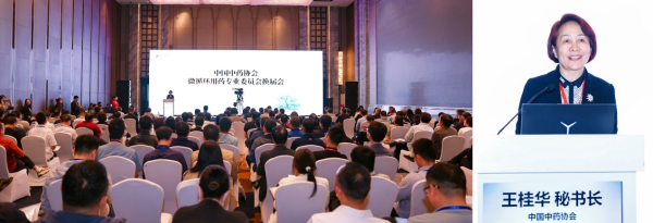 中国中药协会微轮回用药专委会换届，引颈中医药高质料前行